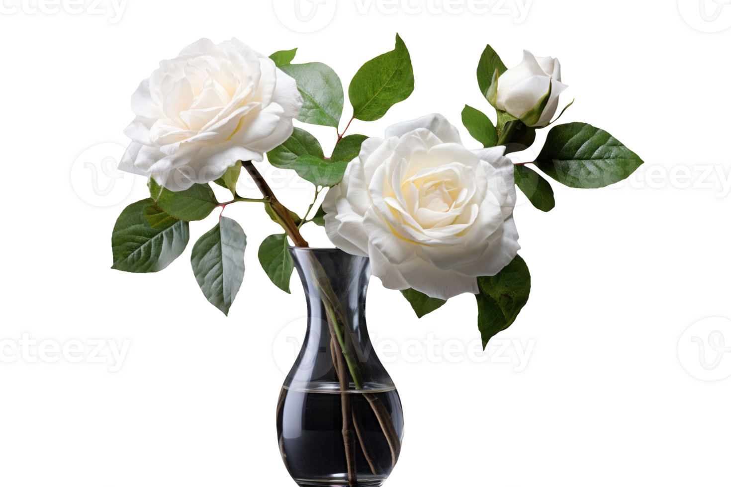 Realistic Illustration of Beautiful White Bouquet of Roses in a Black Vase Kept on Transparent Background. . png