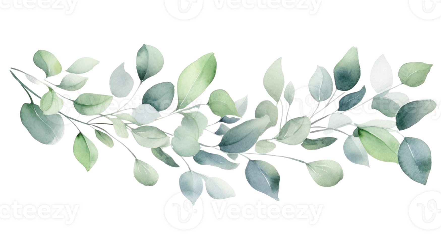 Beautiful watercolor painting of eucalyptus branches for nature themed design generative . png
