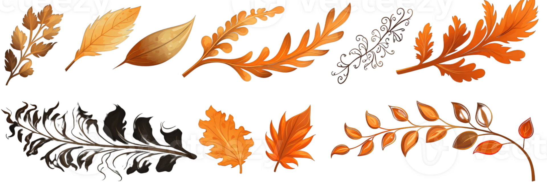 Orange leaves set of themed autumn illustration on background. png