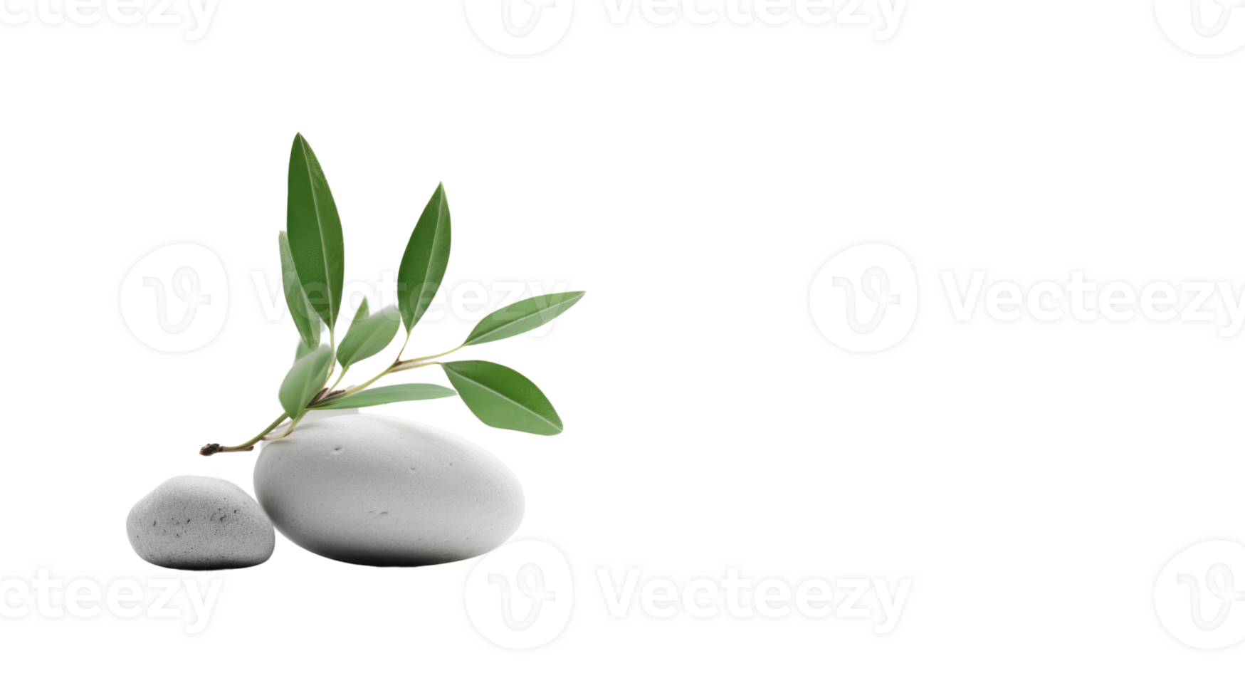 Gray pebble stone with green leaves flat lay on background for Spa. png