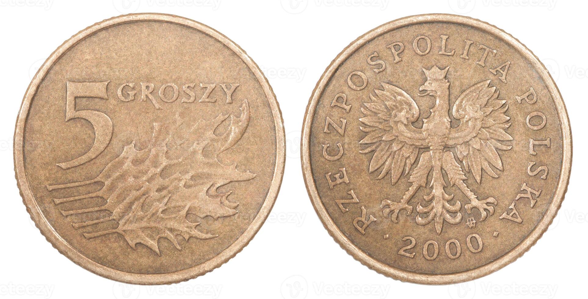 Polish zlote coin photo