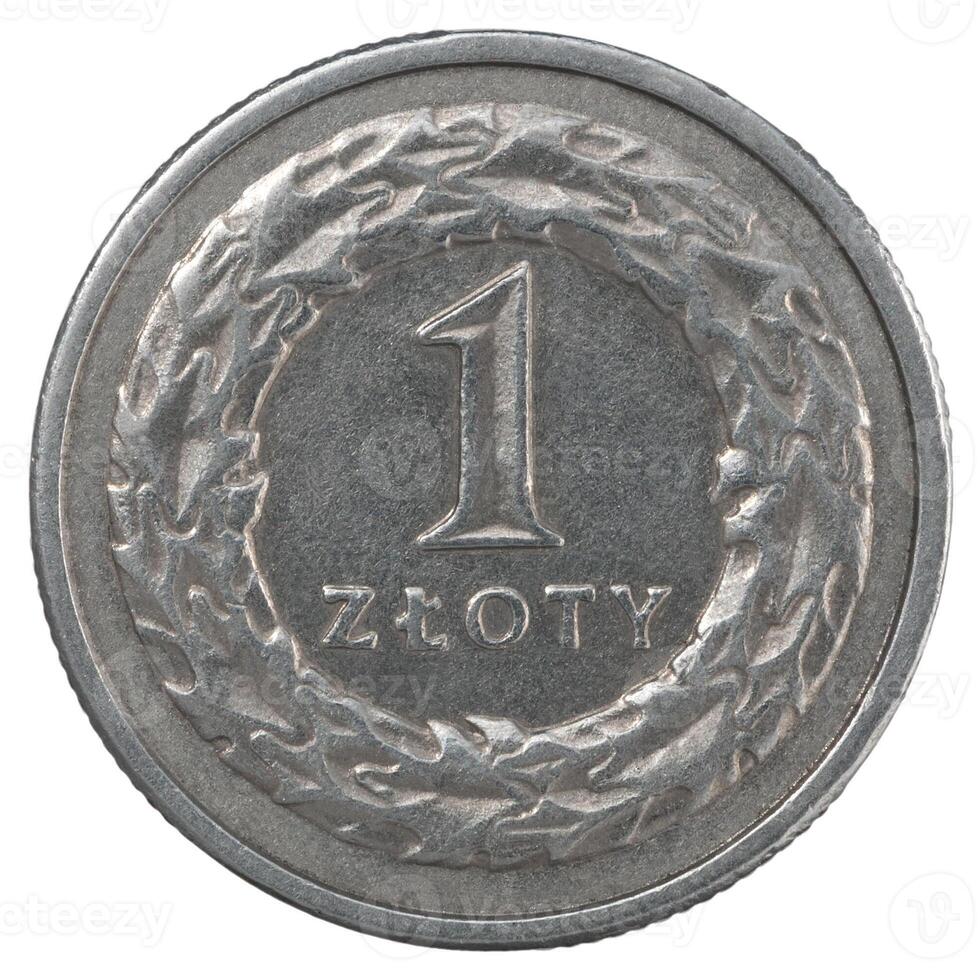One Polish Zloty coin photo