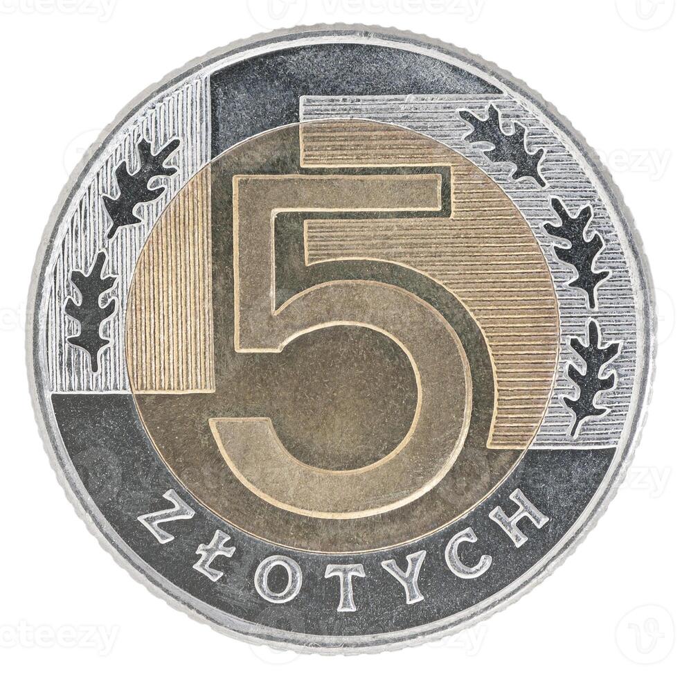 New Polish zloty coin photo
