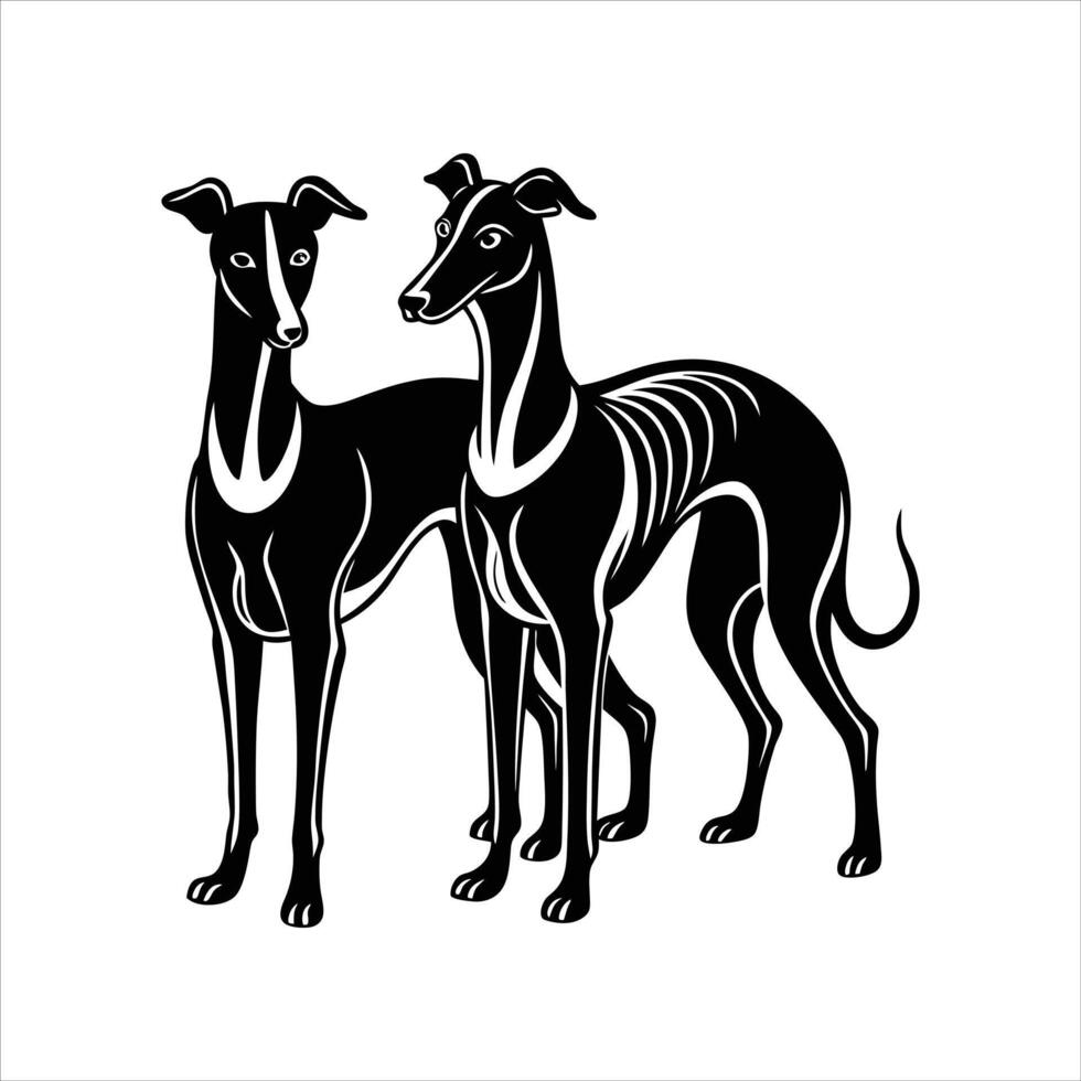 Two Sighthound dog vector