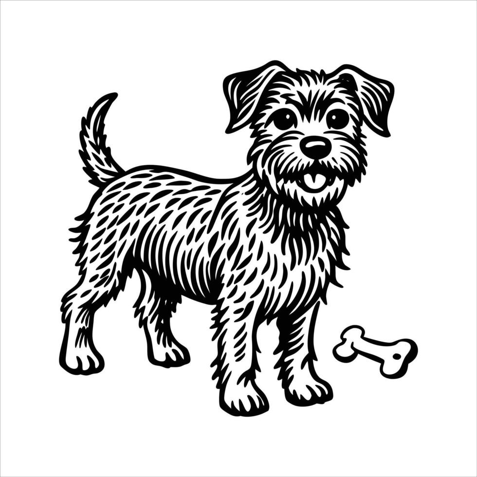 Border Terrier Standing vector