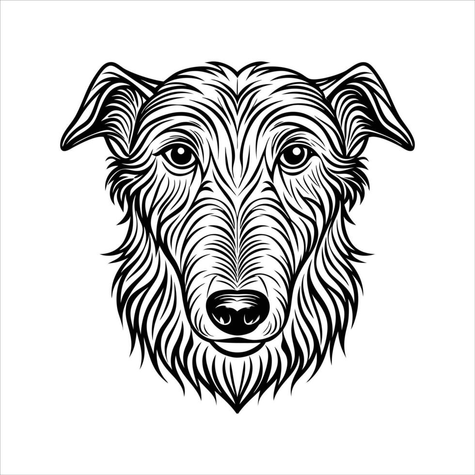 Irish Wolfhound Dog vector