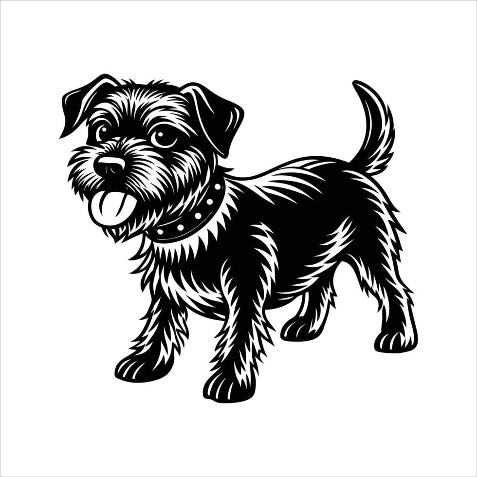 Border Terrier Stock Photos, vector