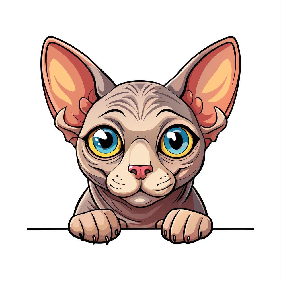 Adorable Sphynx Cat Peeking . vector