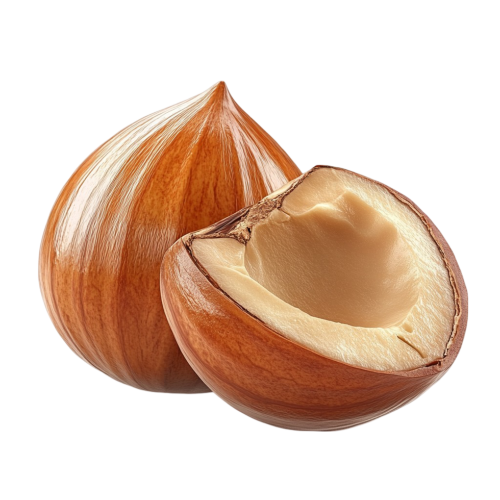 Two Chestnuts with Nut Picture png
