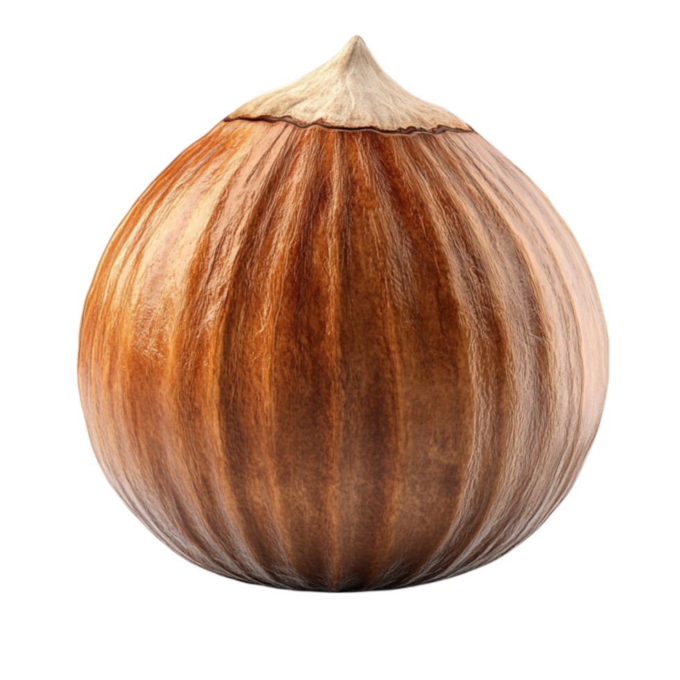 Fresh Onion Display png