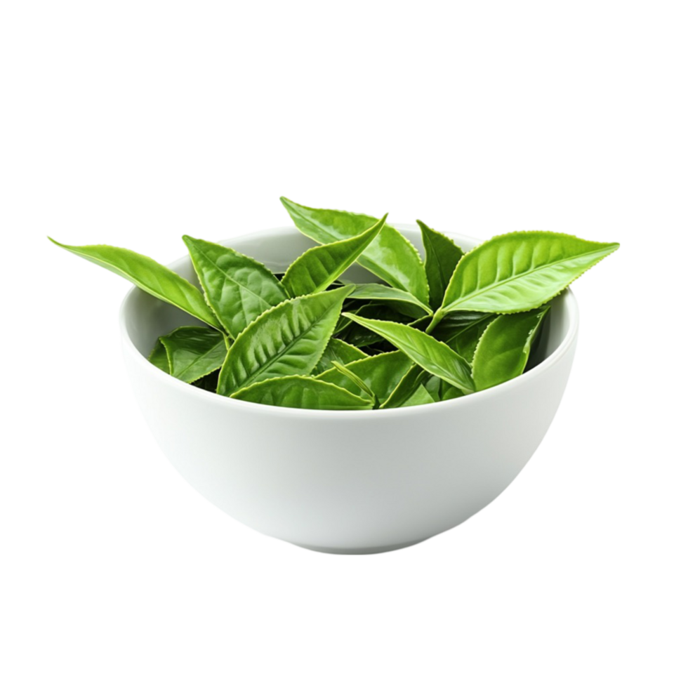 Spinach Leaf Bowl png