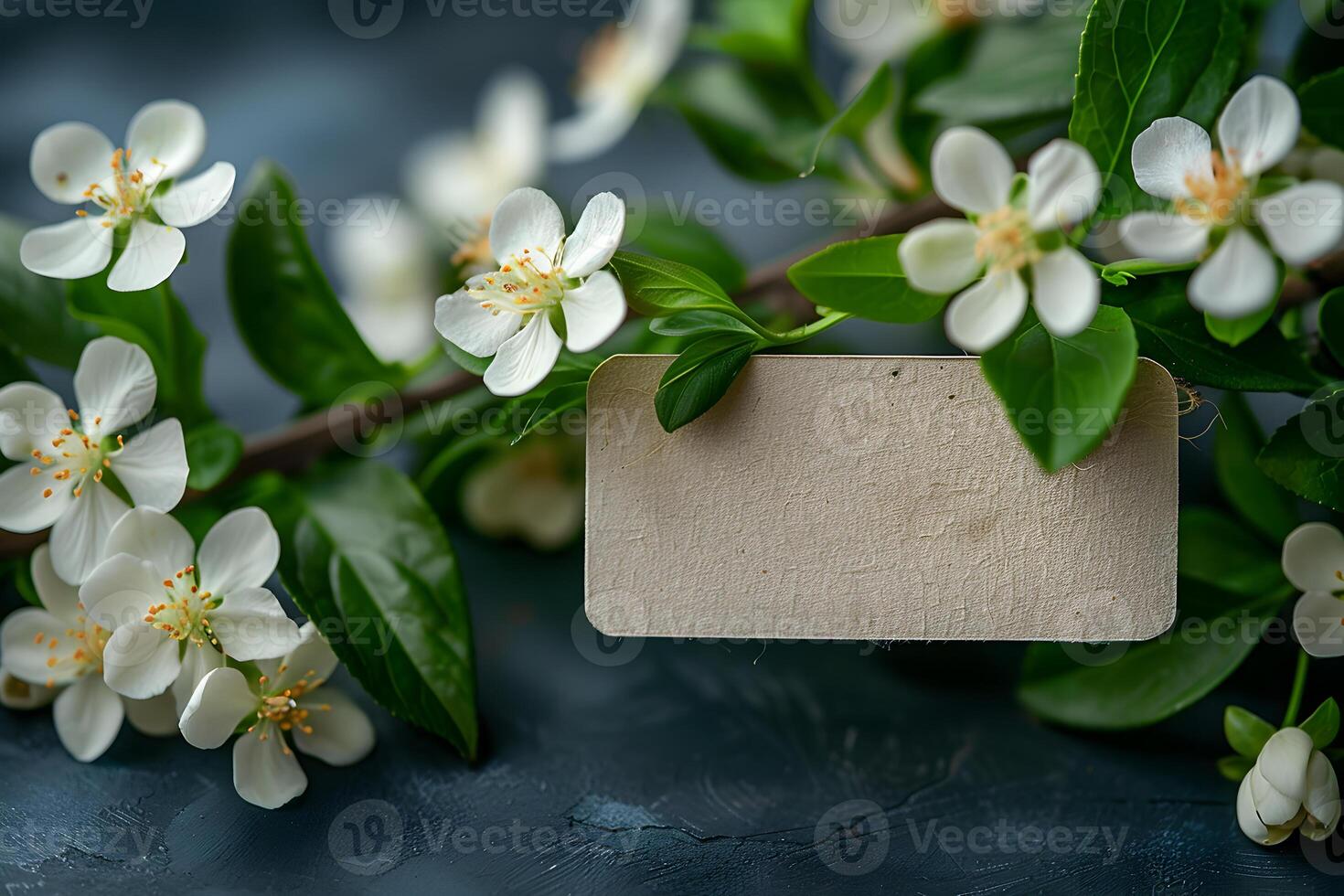 Empty rectangle label mockup with jasmine flowers. Blank price, gift, sale, designation, medicine, cosmetics, title or gift tag template with flowers background. photo