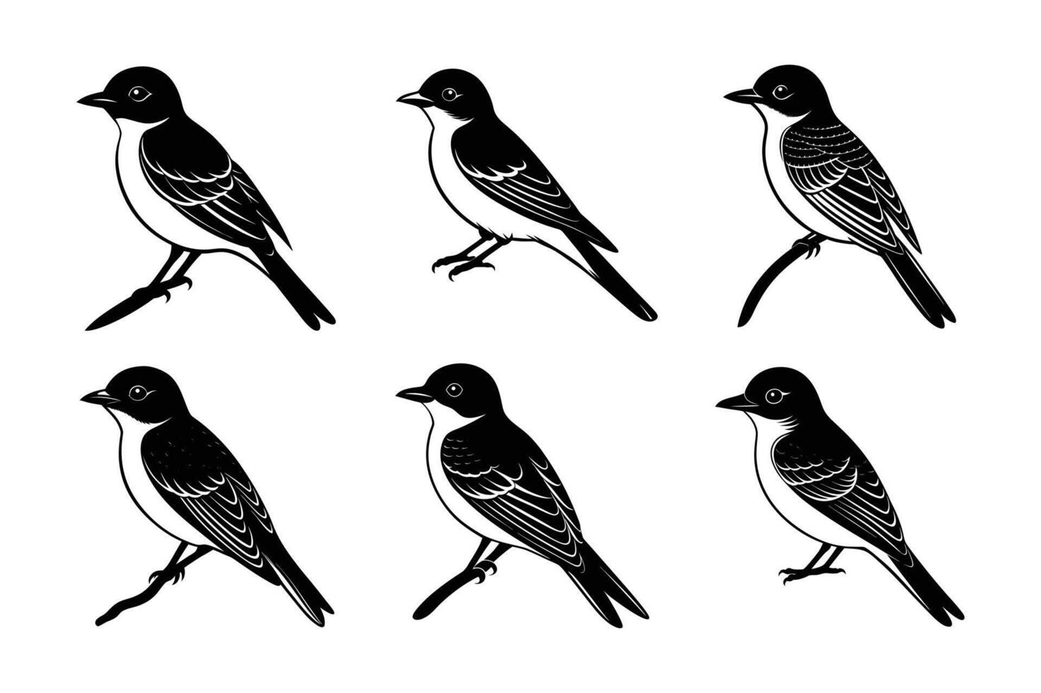 The Eastern Kingbird vector