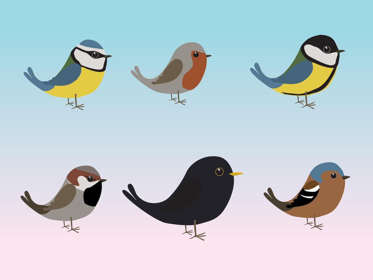 Bird collection of six cute birds vector