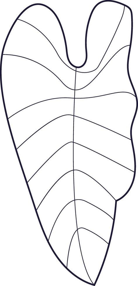 Nature's Pattern The Elegance of Monstera vector