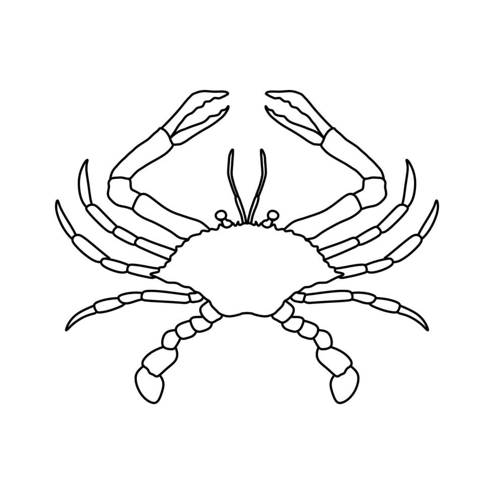Crab in outline sketch style on white background illustration vector
