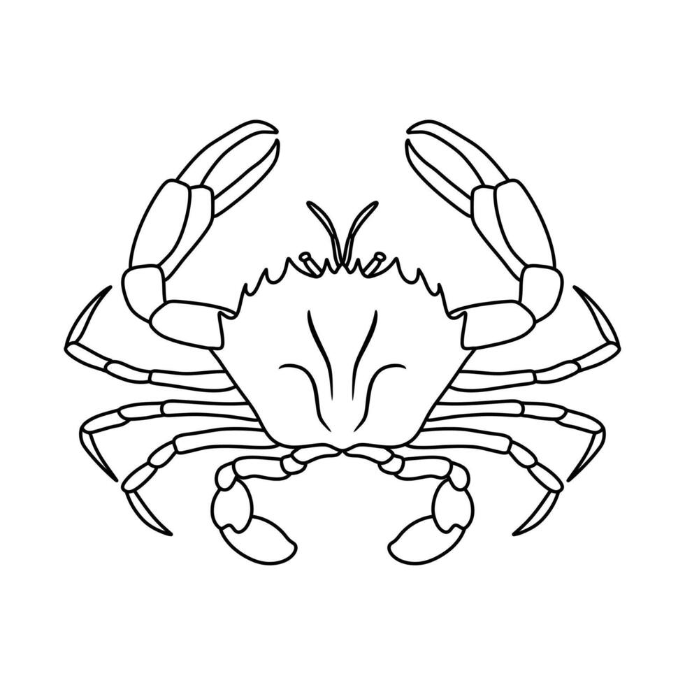 line art of a crab illustration vector