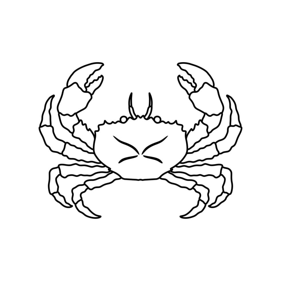 Crab in outline sketch style on white background, illustration vector
