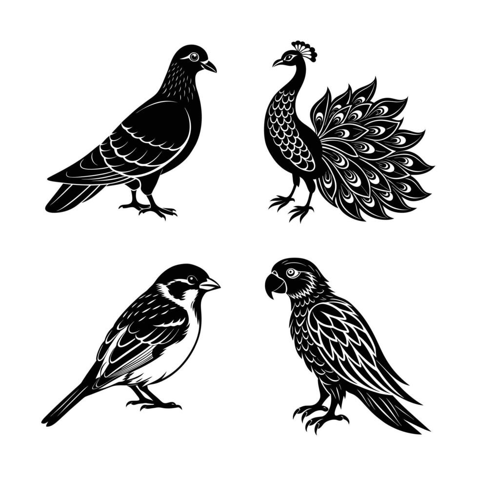 Bird silhouette in white background vector