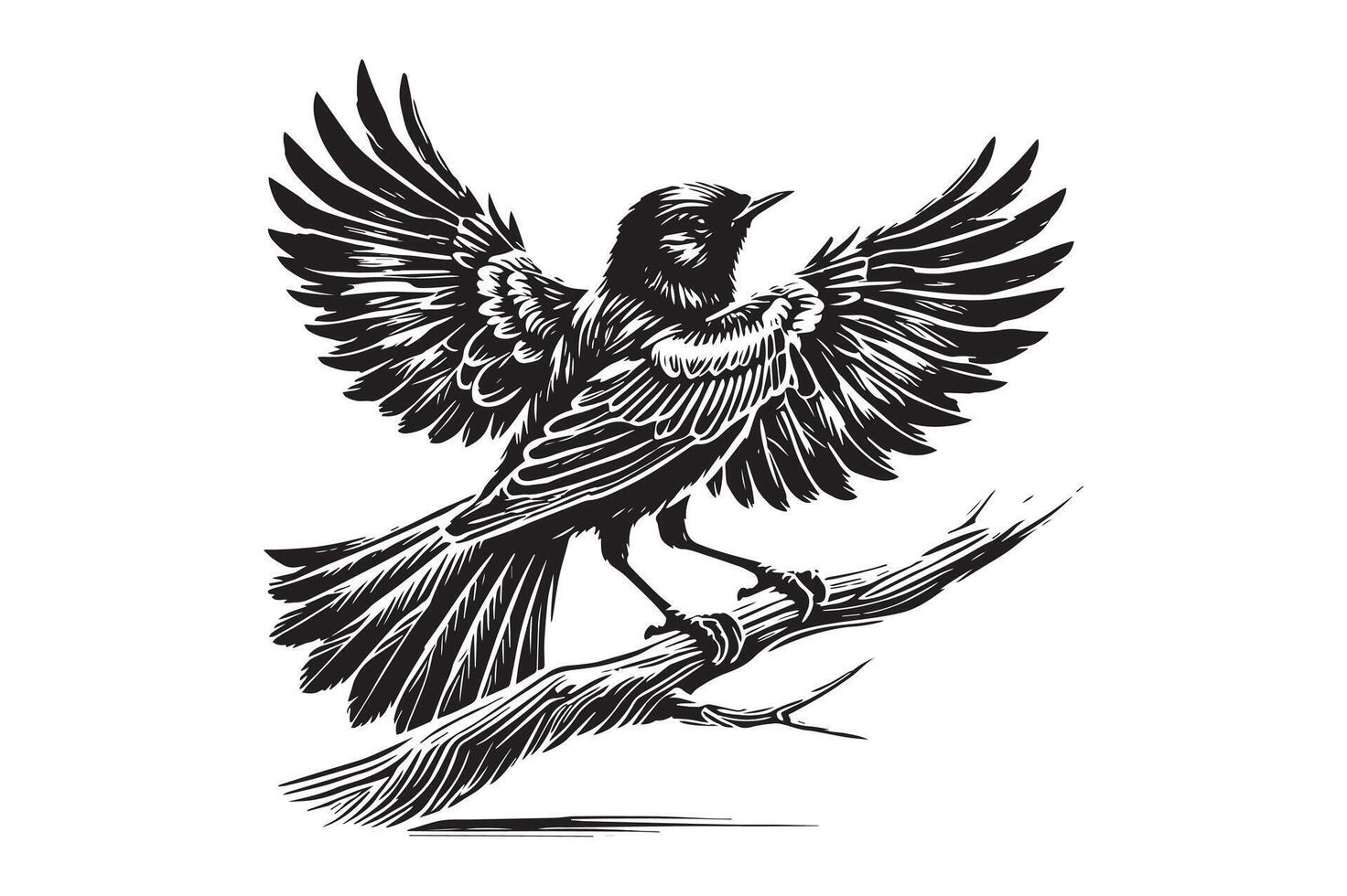 House Sparrow Silhouette Design Sparrow Bird vector