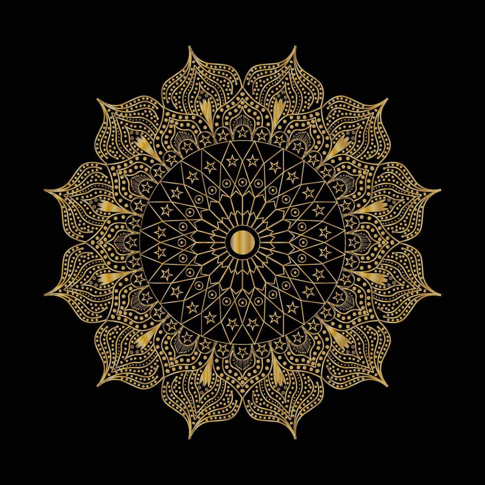 Circular pattern in form of decorative mandala design vector