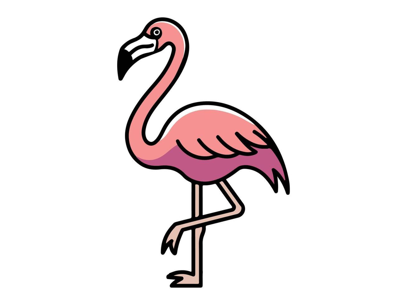 pink flamingos birds vector