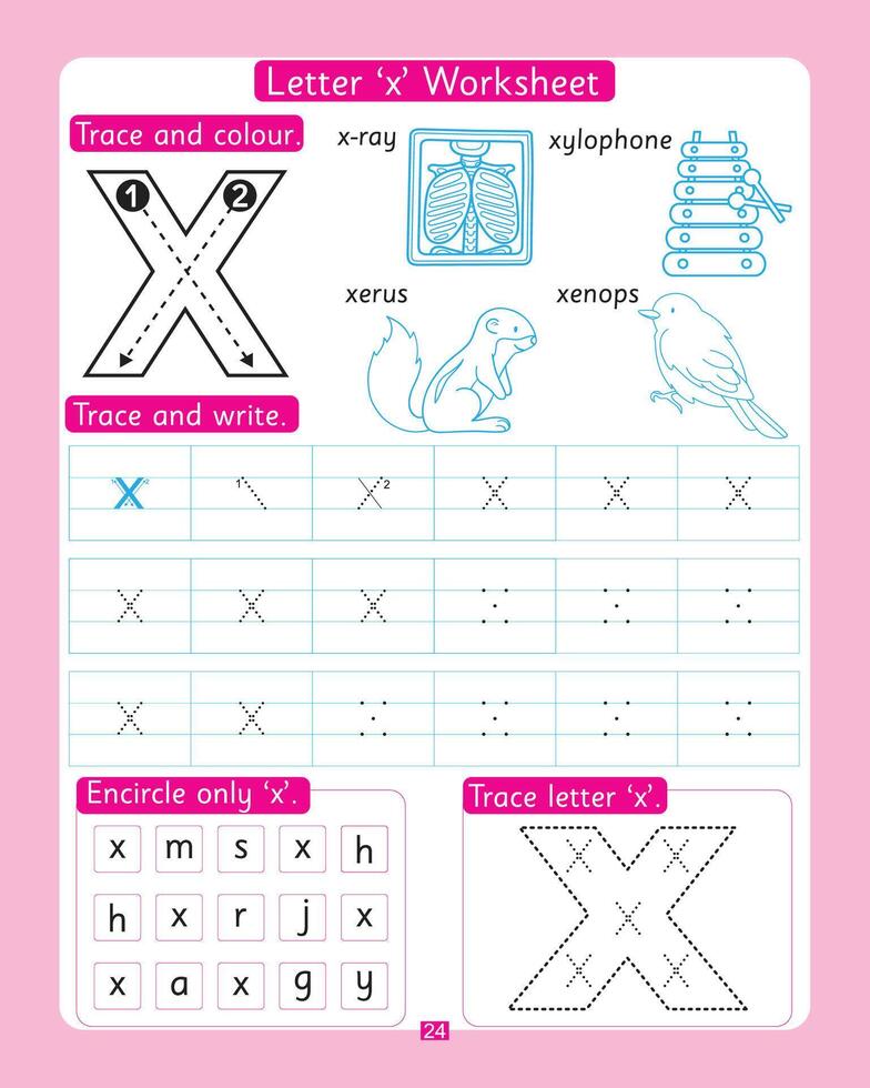 Letter x Worksheet vector