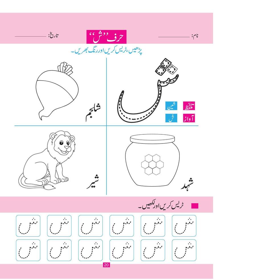 letter sheen worksheets vector