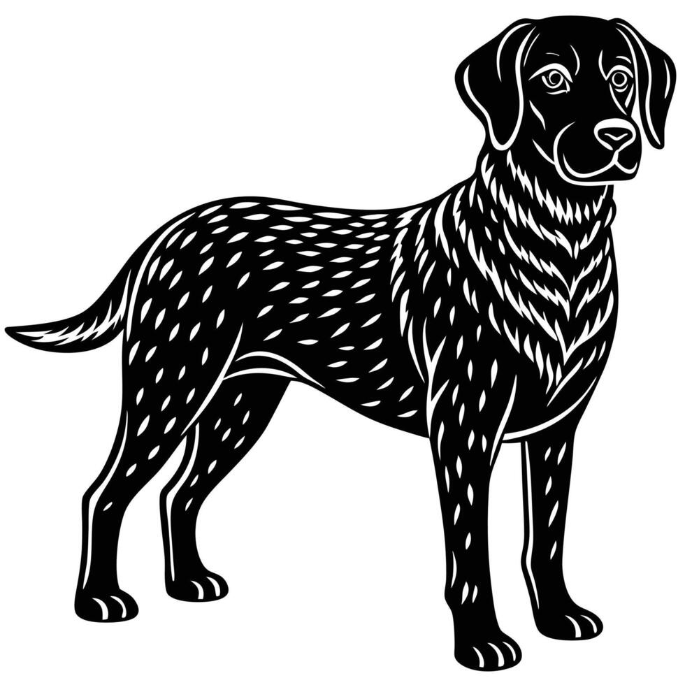 chesapeake bay retriever dog black silhouette Design with white background. Dog silhouette icon vector