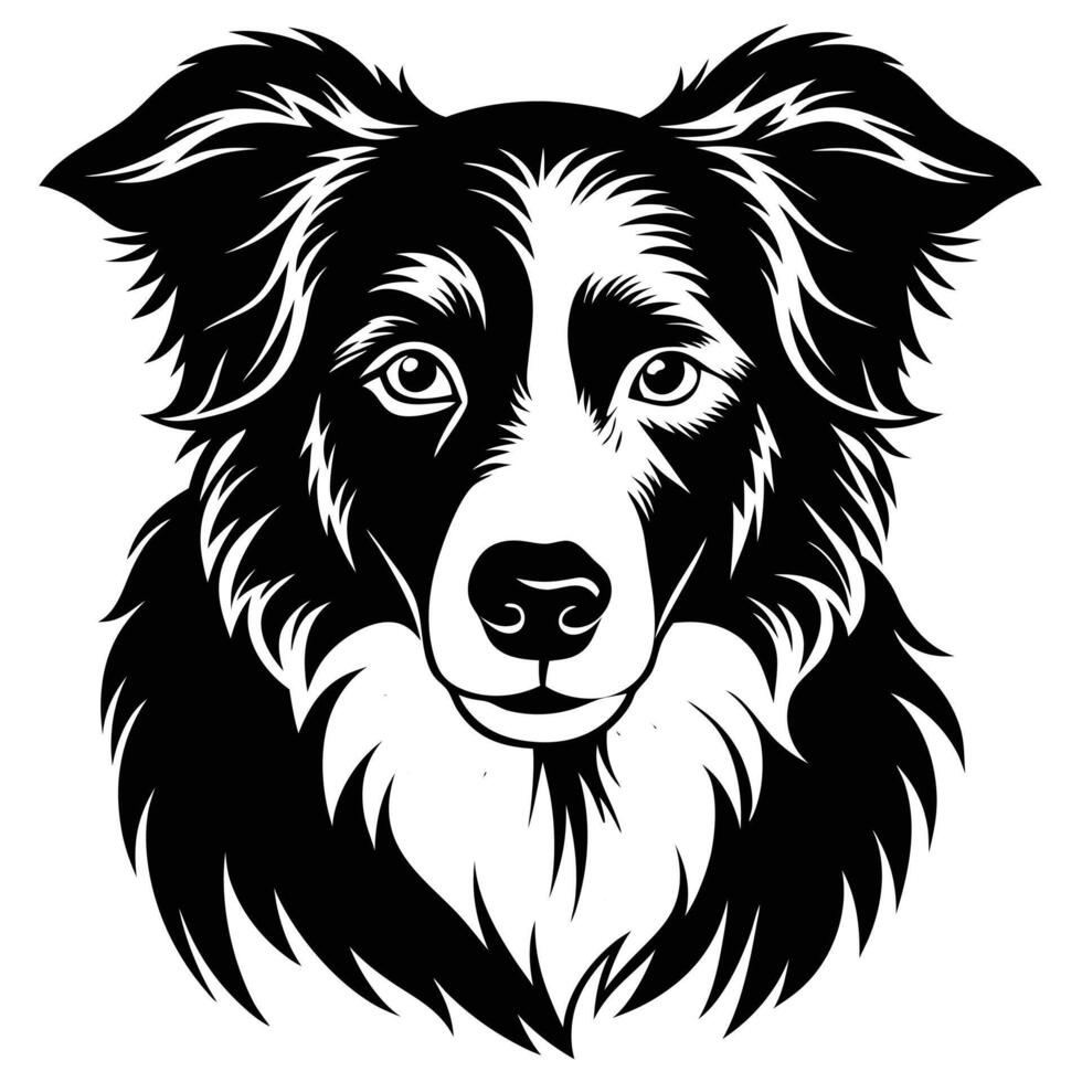 border collie head black silhouette Design, Icon with white background. Dog head silhouette vector