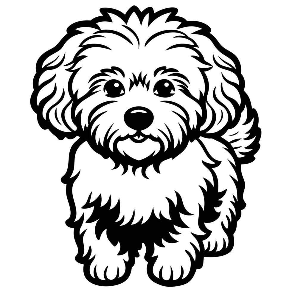 bichon frise dog black silhouette Design, Icon with white background. Dog silhouette vector