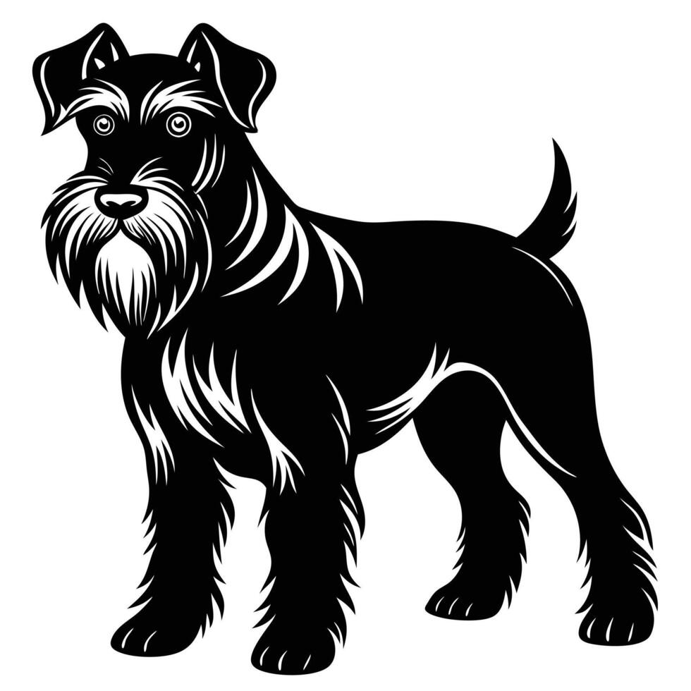 giant schnauzer black silhouette Design, Icon with white background. Dog silhouette vector