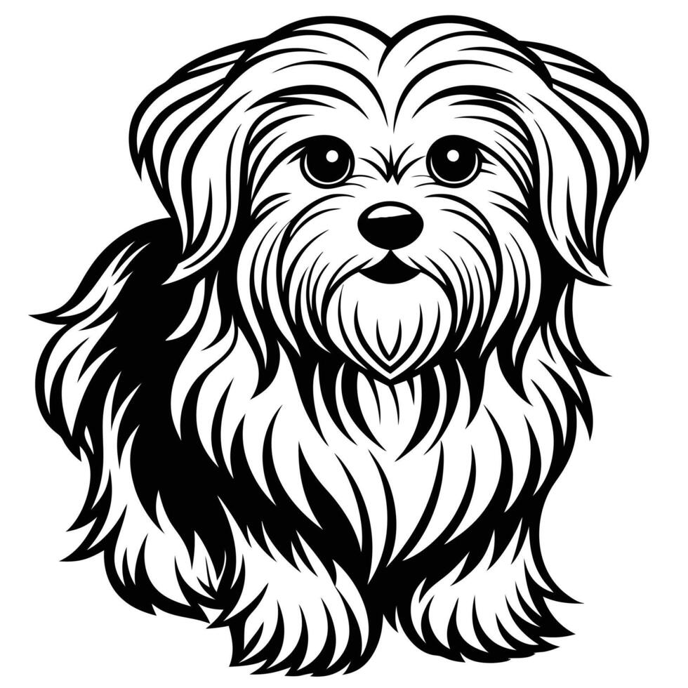 maltese dog black silhouette Design with white background. Dog silhouette icon vector