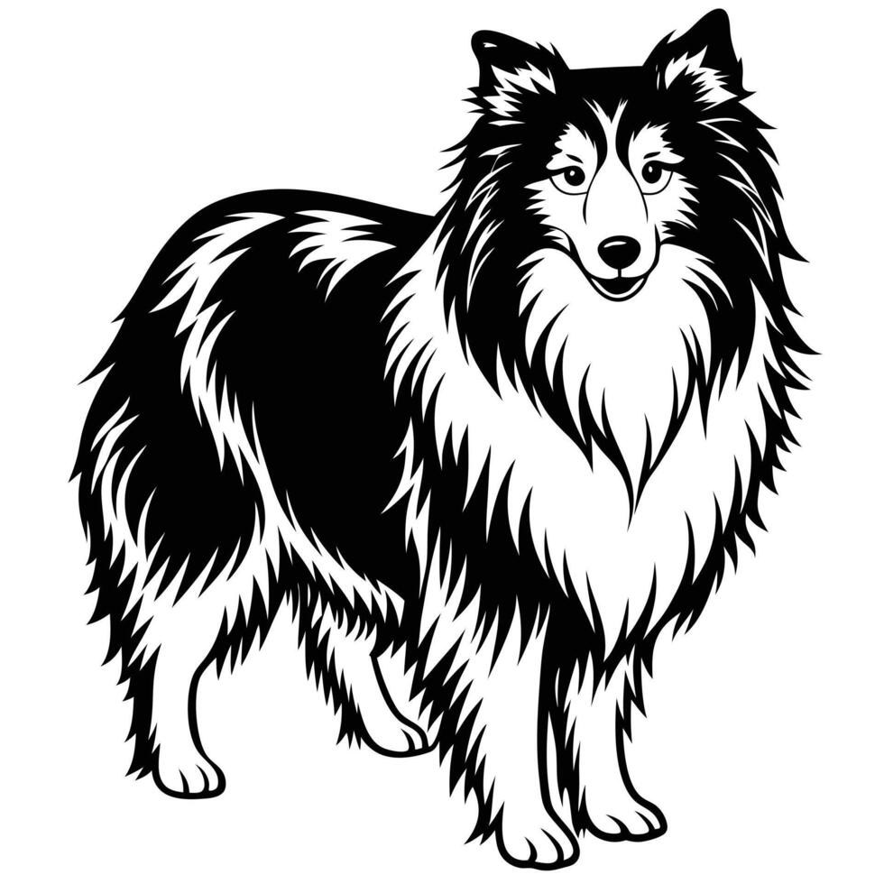 shetland sheep black silhouette Design, Icon with white background. Dog silhouette vector