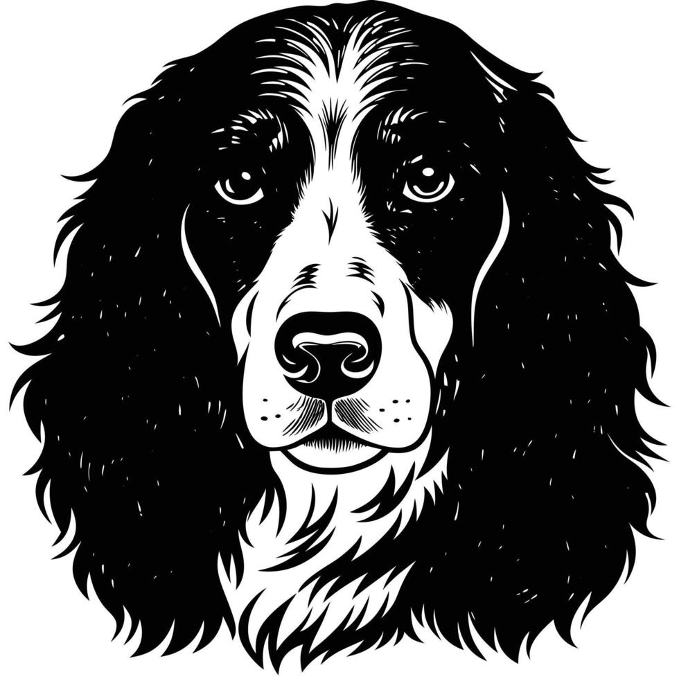 english springer spaniel head black silhouette Design, Icon with white background. Dog head silhouette vector