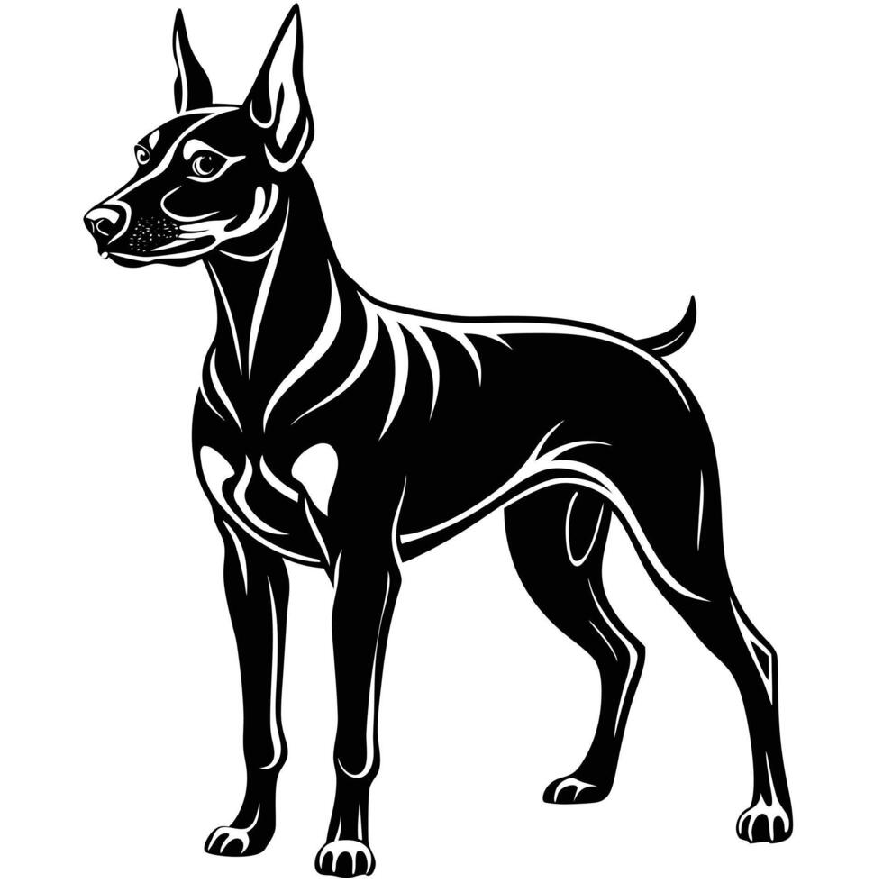 doberman pinscher black silhouette Design, Icon with white background. Dog silhouette vector