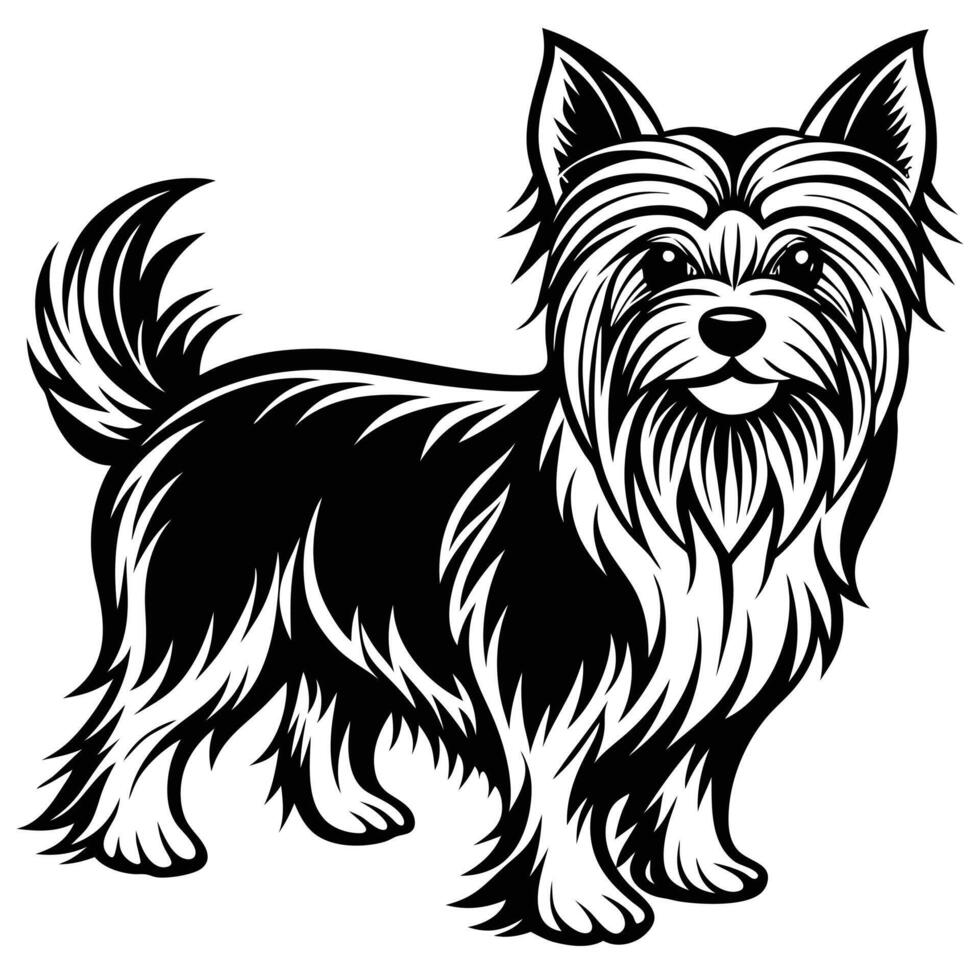 yorkshire terrier black silhouette Design, Icon with white background. vector