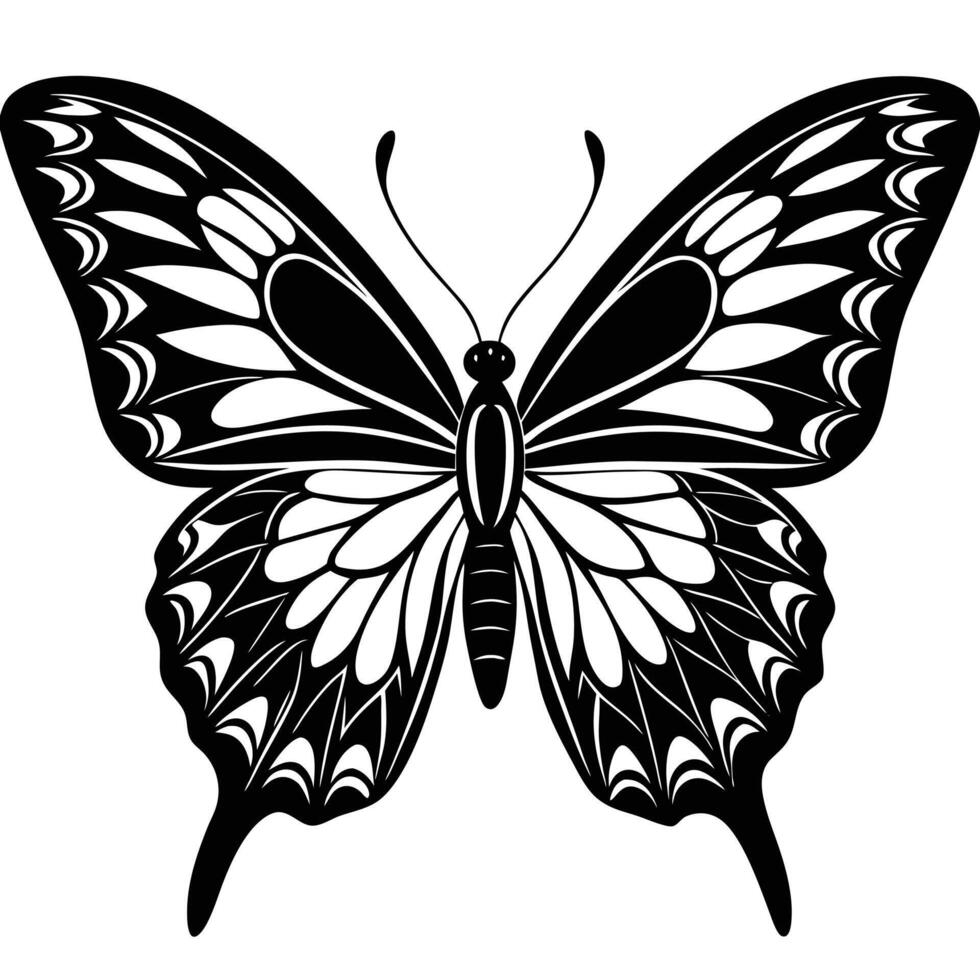 a black and white papillon butterfly on a white background vector