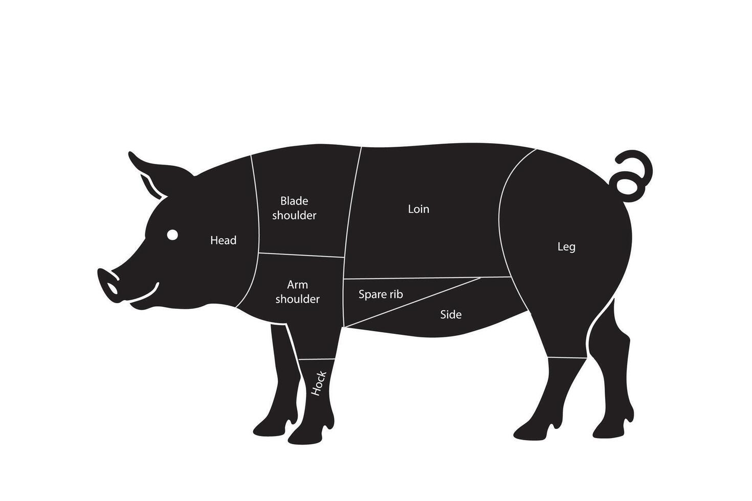 Diagram of American Pork Cuts with Labels vector