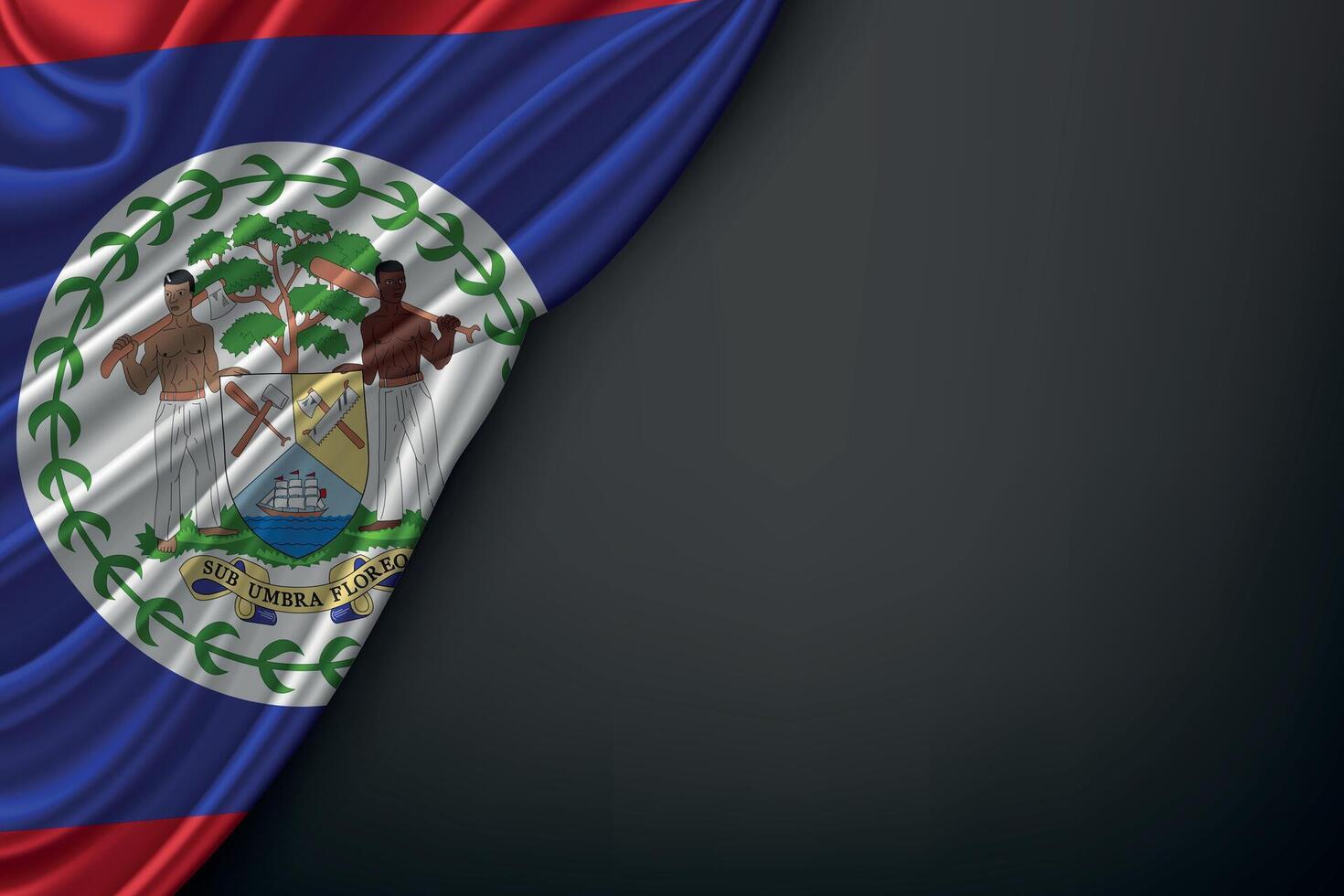 Waving Belize Flag on Dark Background vector