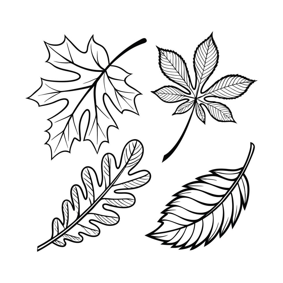 black leaves design vector