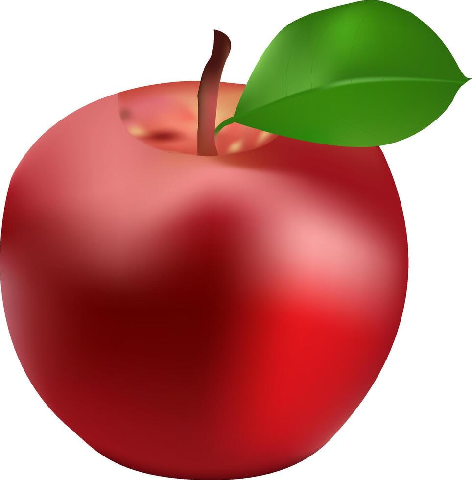 illustration of a single apple design on a white background vector