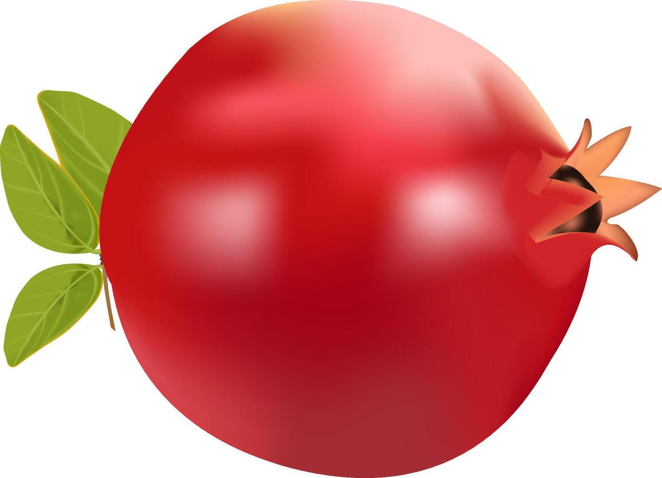 illustration of a single pomegranate design on a white background vector