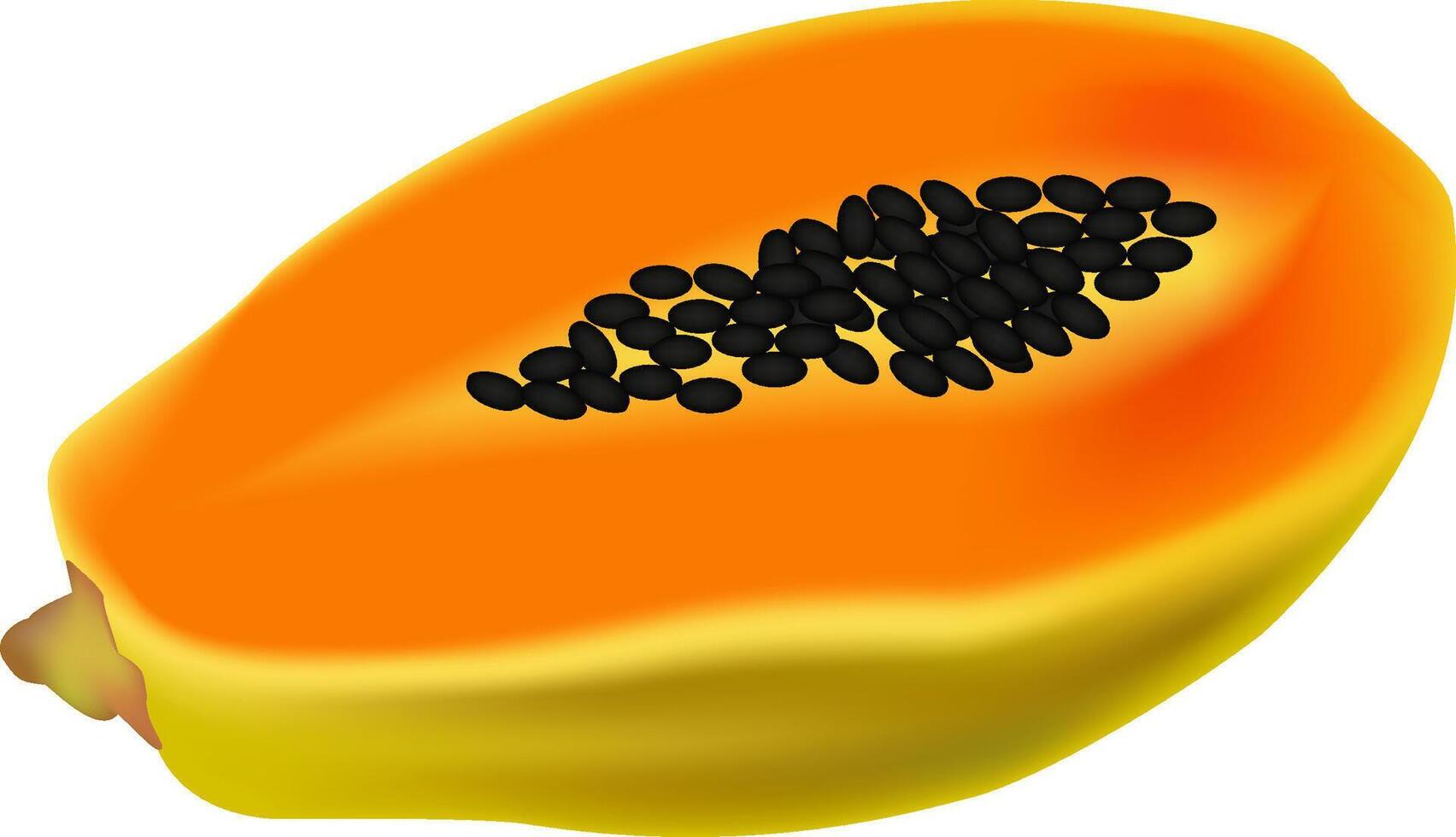 illustration of a half papaya design on a white background vector