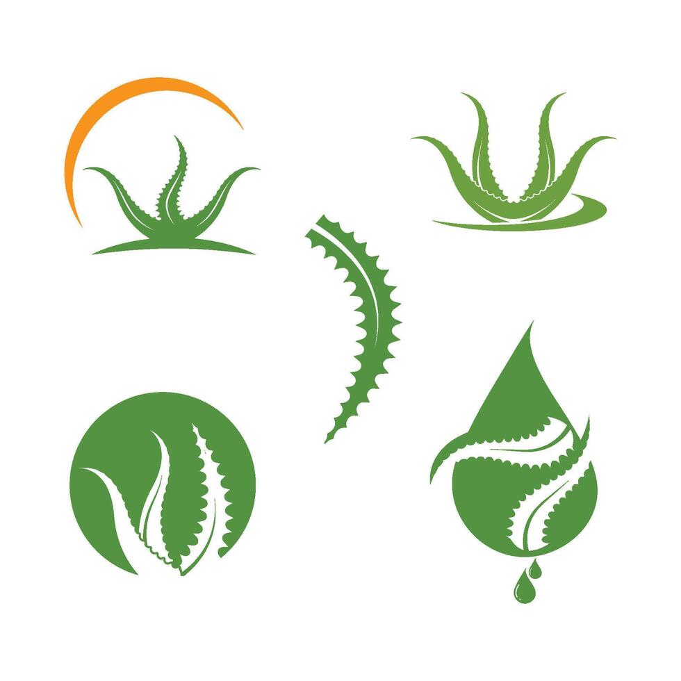 aloevera logo icon illustration design vector
