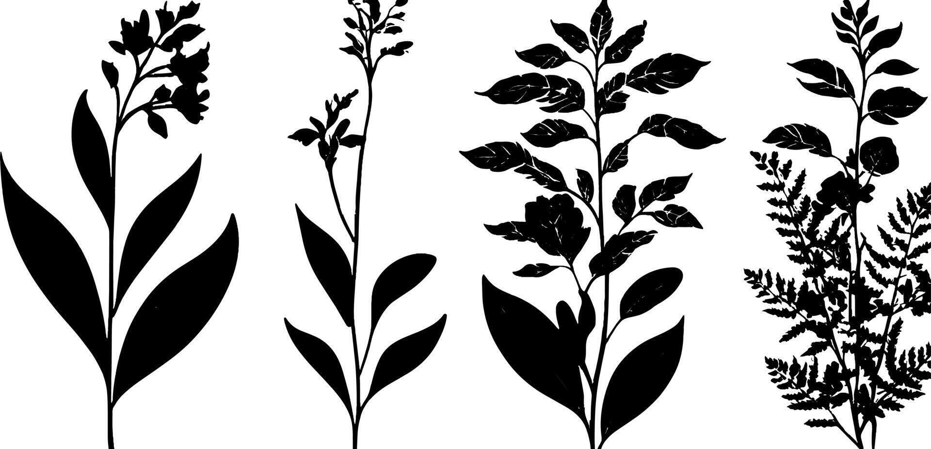 Black and white silhouette of plants vector