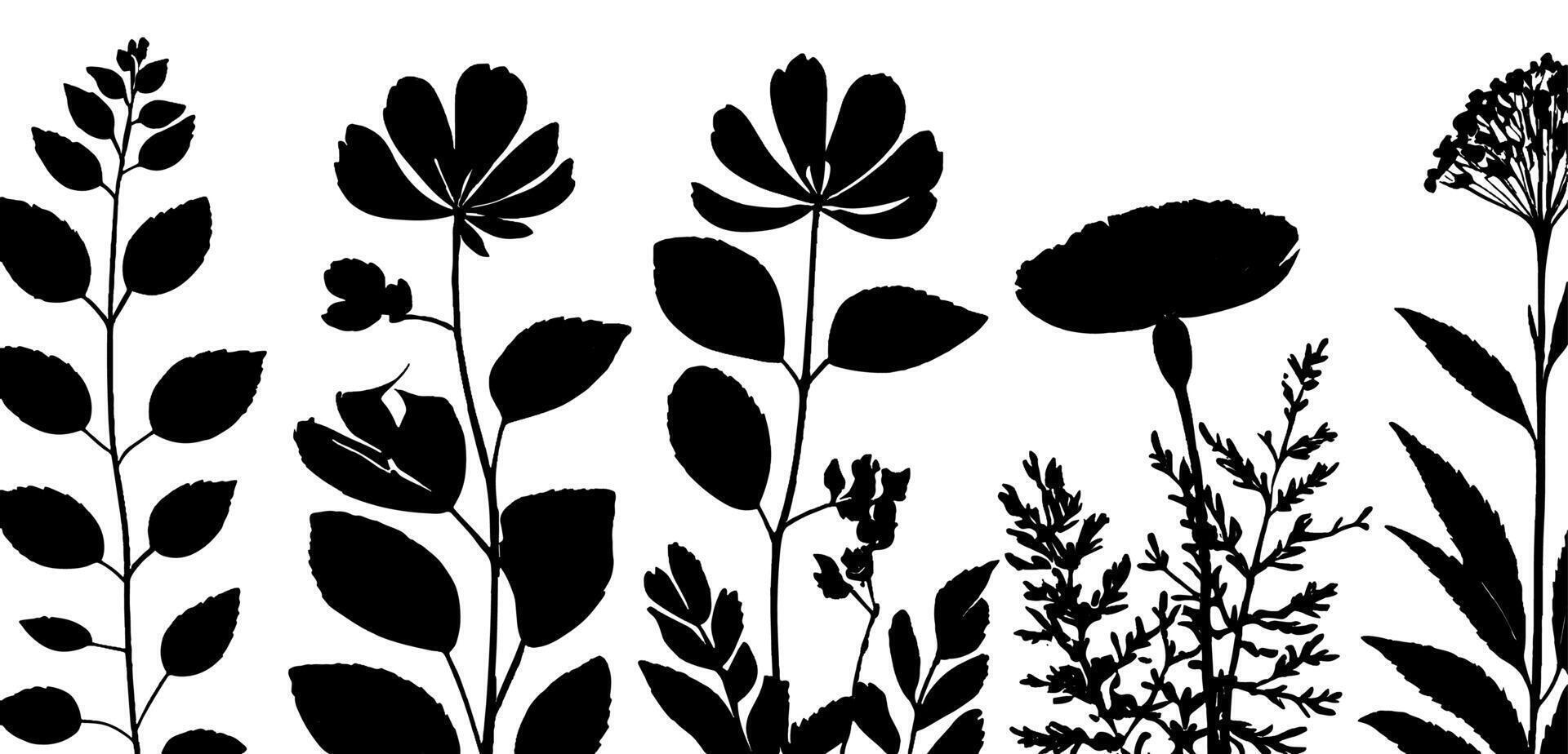 Black and white silhouette of flowers and plants vector
