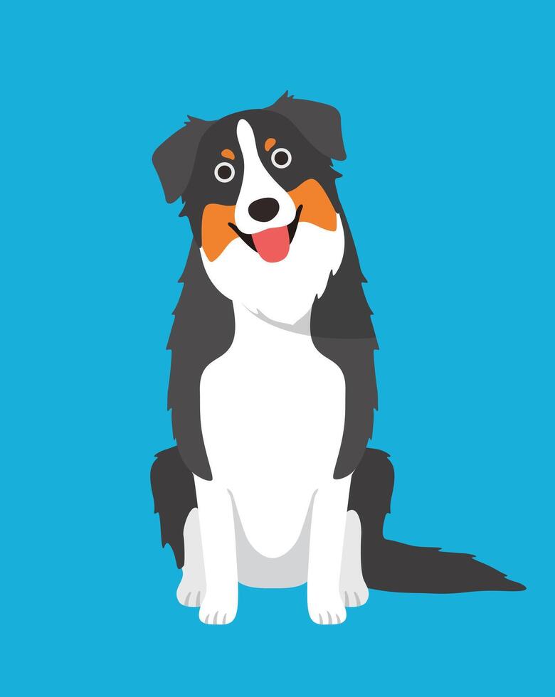 Australian Shepherd dog is sitting waiting for the master's order vector