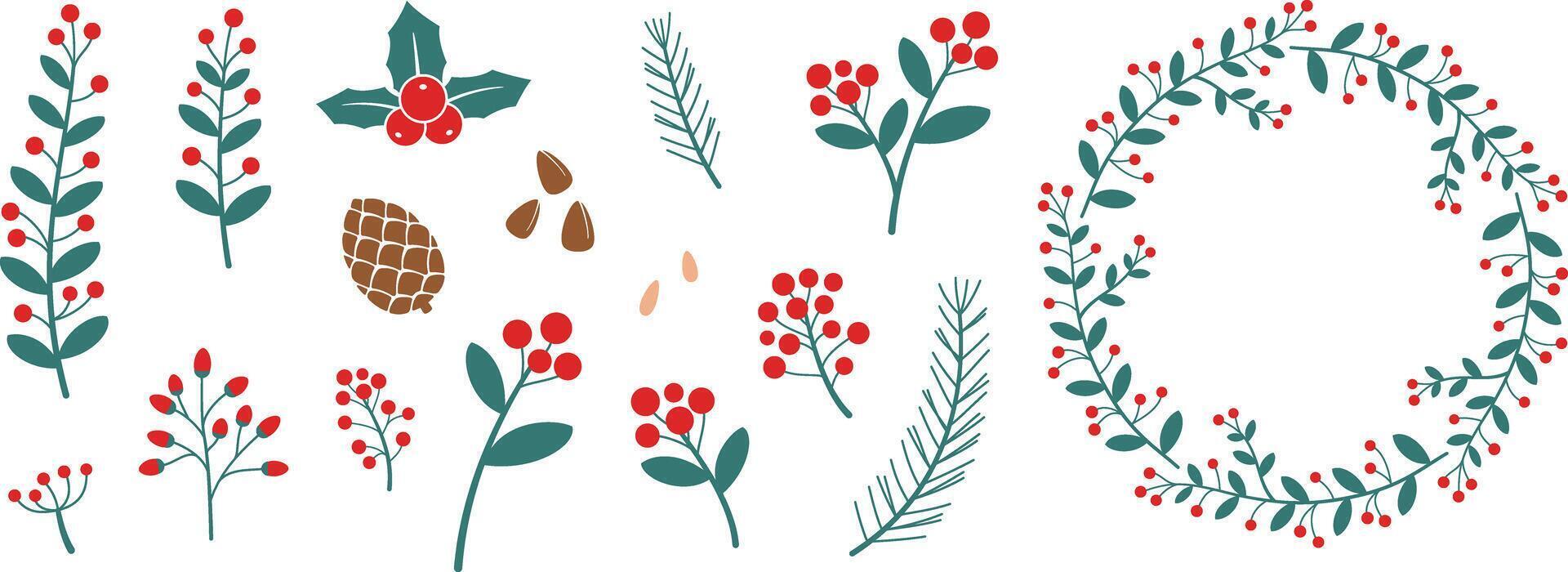 Christmas element, plants, flower, holly berry, Christmas tree, pine, illustration stock illustration vector