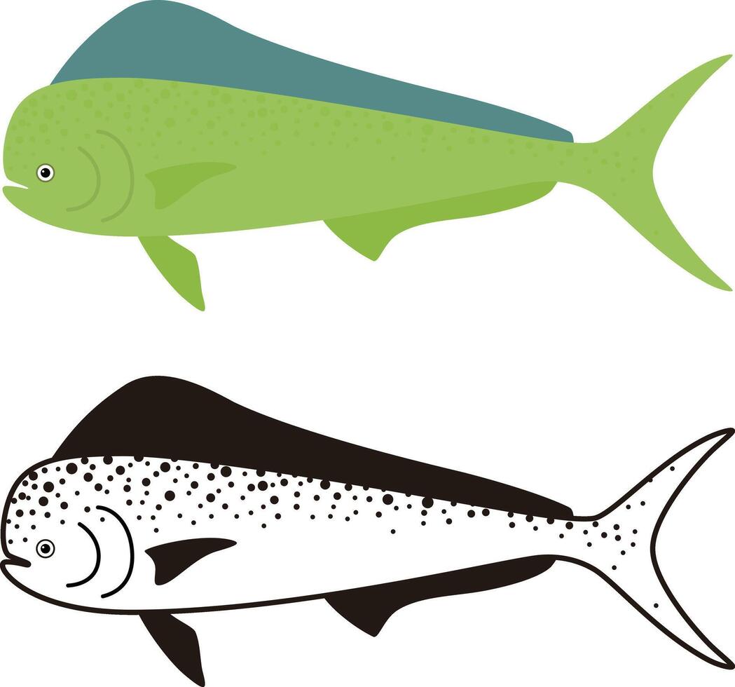 Common Dolphinfish, Dorado fish, illustration vector